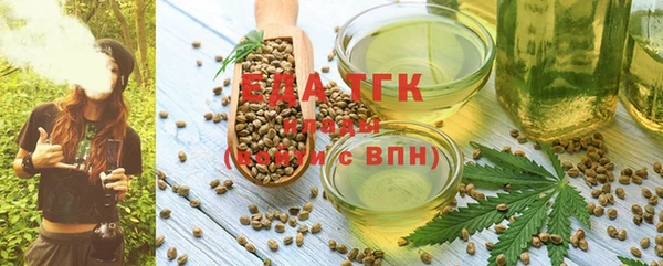 шишки Аркадак