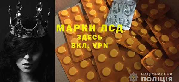 шишки Аркадак