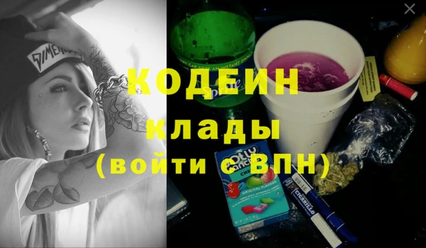 шишки Аркадак